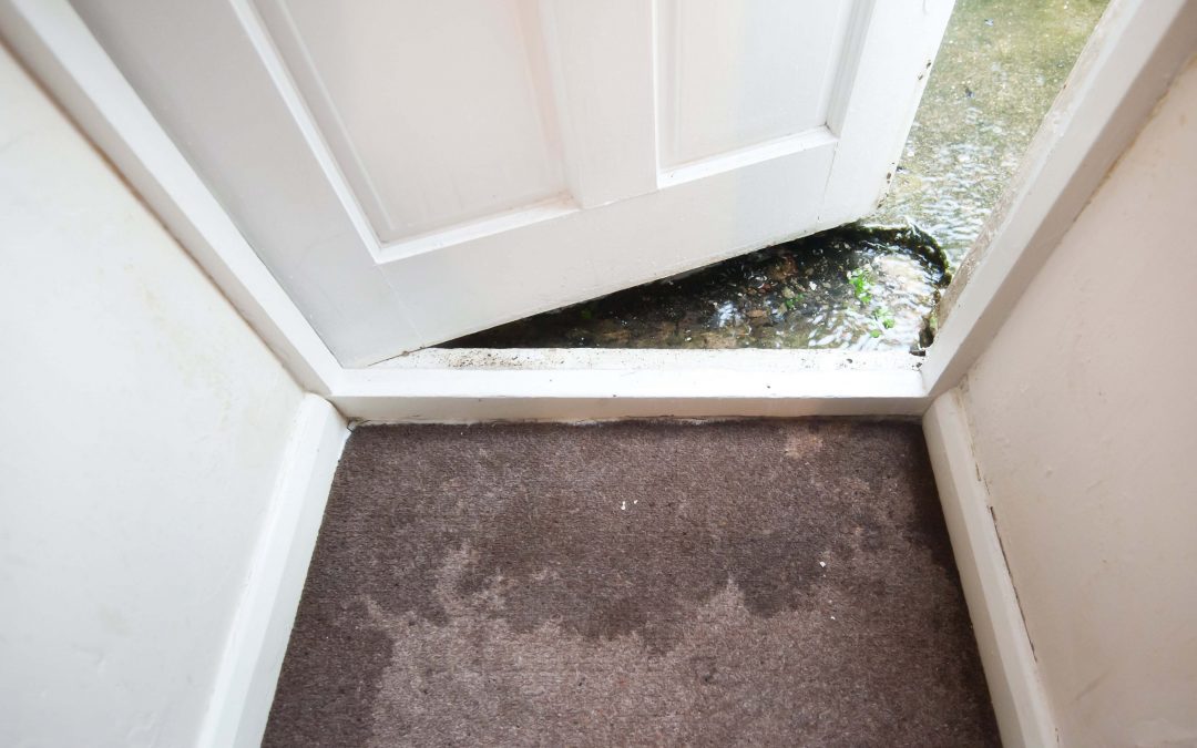 Here’s How To Clean Carpets, Rugs and Upholstery After Flooding