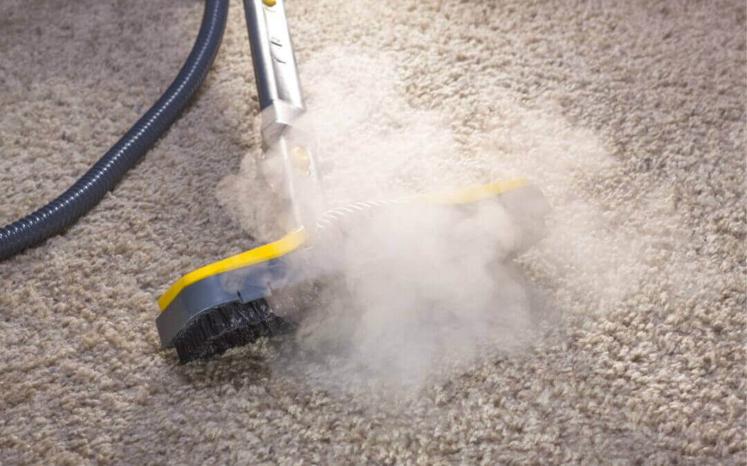 Suffering Seasonal Allergies? Carpet, Rug, and Upholstery Cleaning Can Help