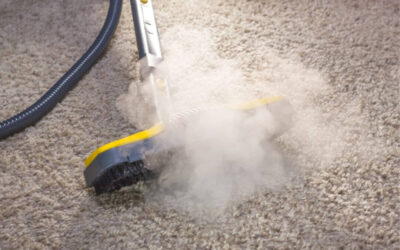 Suffering Seasonal Allergies? Carpet, Rug, and Upholstery Cleaning Can Help