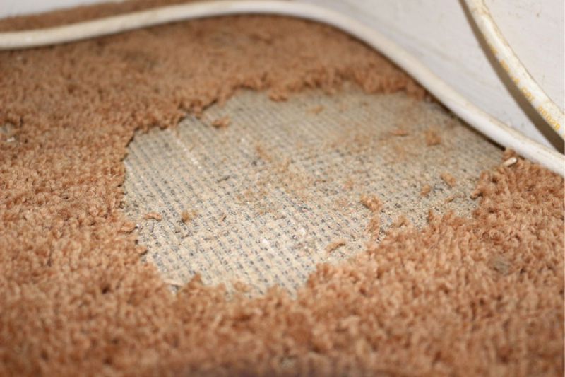carpet repair replacement