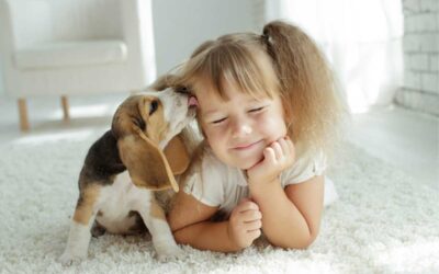 Carpet Cleaning Tips After Welcoming A New Pet