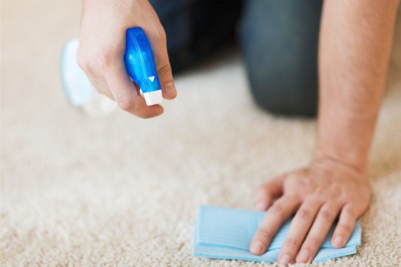 Carpet Cleaning Tips After Welcoming A New Pet - A Advanced Home Care