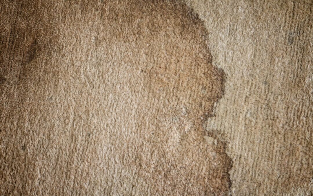 Don’t Panic! Here’s How to Use Carpet Cleaning to Remove Tough Stains