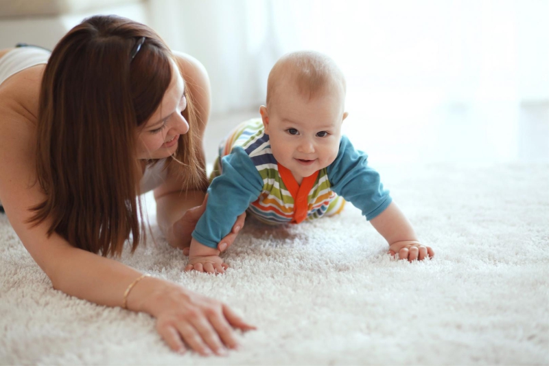 clean carpet mold