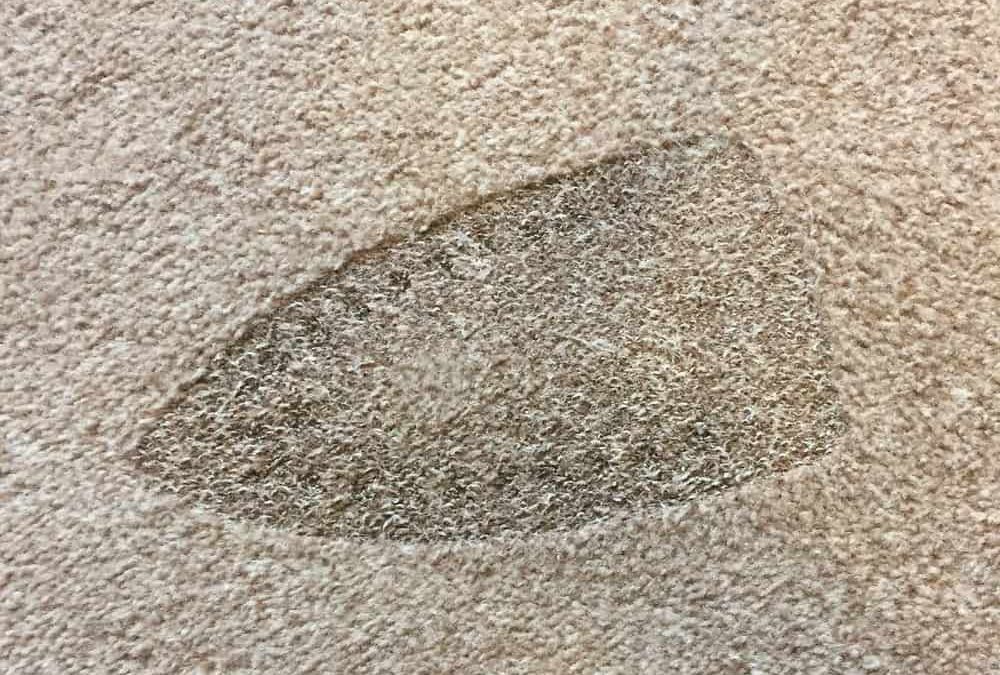 Carpet Repair Tips for Fixing Burn Marks