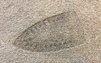 Carpet Repair Tips for Fixing Burn Marks