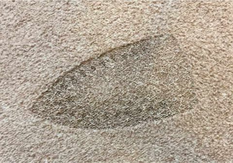 Repairing A Burn Mark On Carpet Thriftyfun - Reverasite