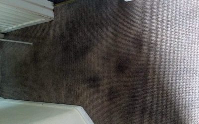 Carpet Cleaning Stains: Ultimate Guide to Removing Mud