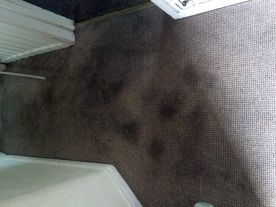 carpet cleaning stains